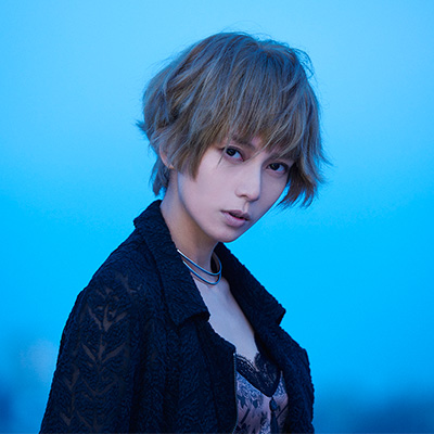 profile_visual