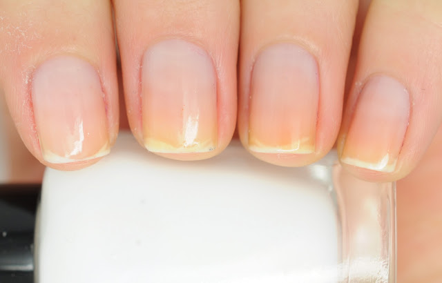 pva-glue-base-coat21