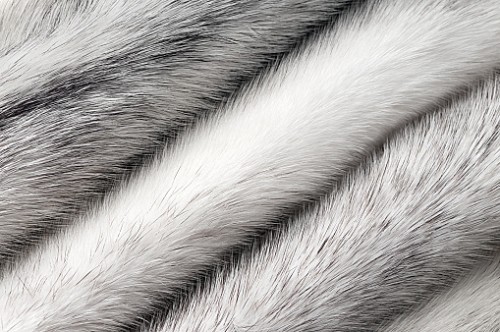 Silver cross mink fur texture macro